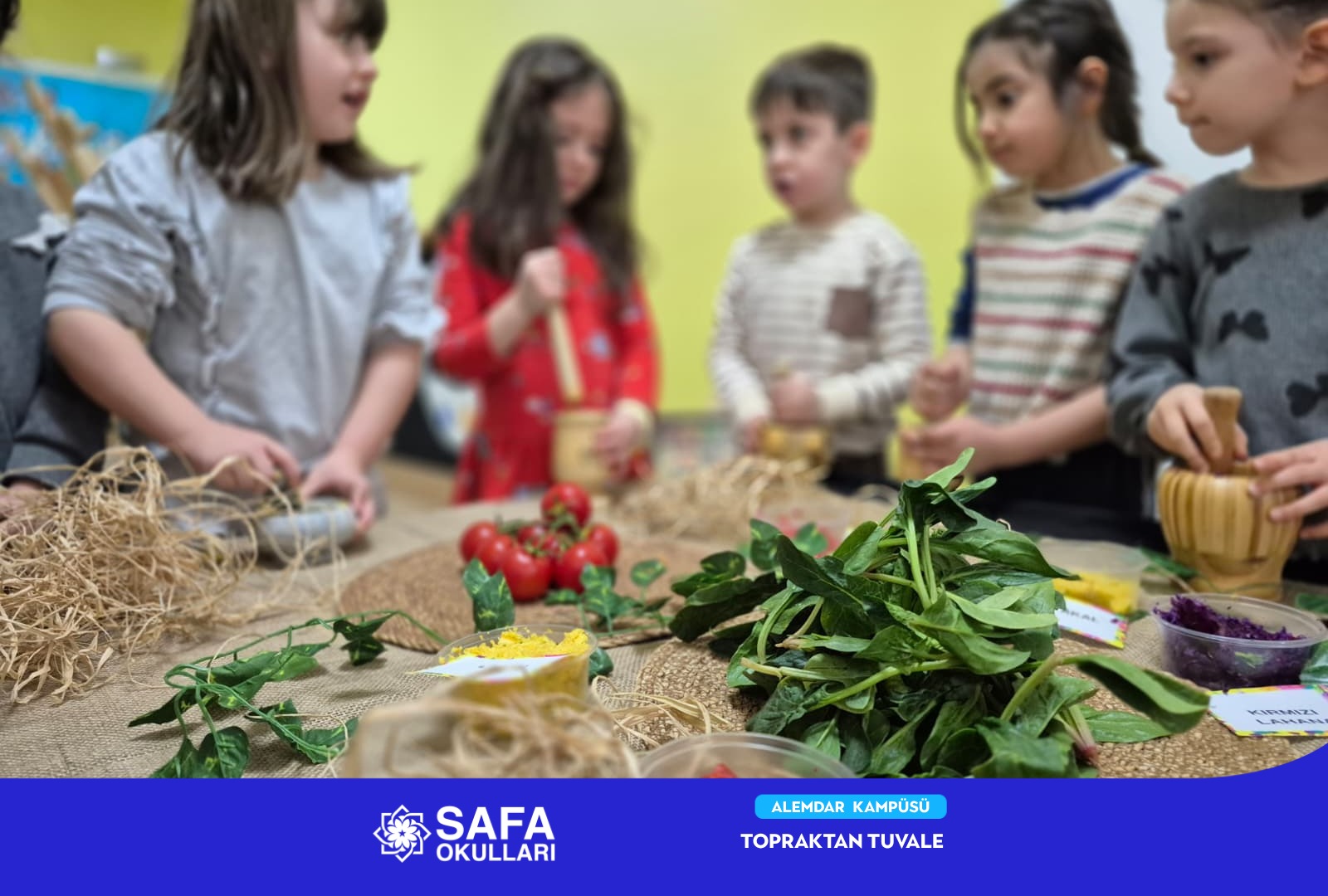 TOPRAKTAN TUVALE UZANAN RENGÂRENK YOLCULUK